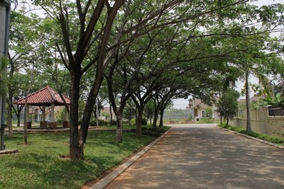 4 Unit Alamanda 8 IMG 1714