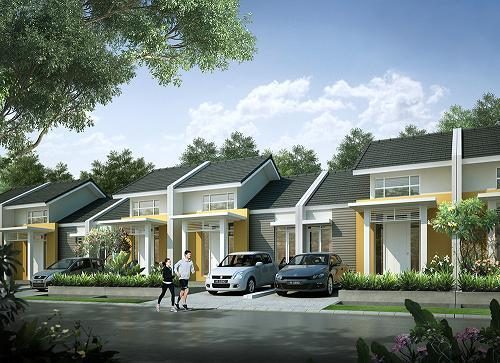 MAGNOLIA MAU RESIZE(1)